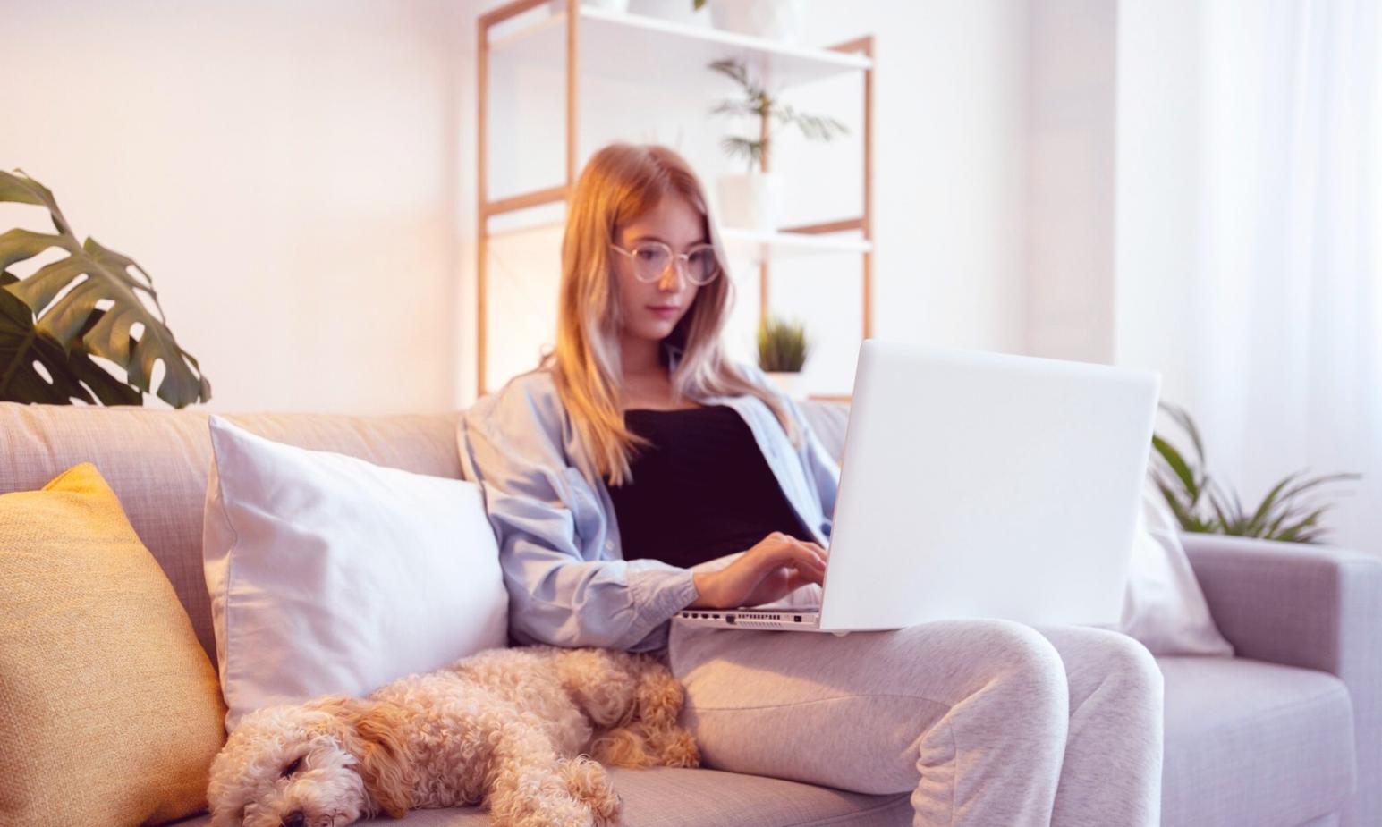 Tim Frondex sedang melakukan sesi konsultasi analisis keuangan dengan klien